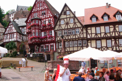 2008-07-06-Miltenberg-Tag-der-Franken-14