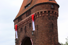 2008-07-06-Miltenberg-Tag-der-Franken-15