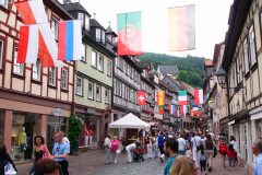 2008-07-06-Miltenberg-Tag-der-Franken-17