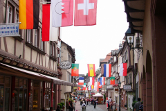 2008-07-06-Miltenberg-Tag-der-Franken-3