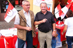 2008-07-06-Miltenberg-Tag-der-Franken-8